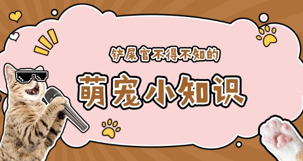宿州宠物训练中心-宿州宠物训练中心