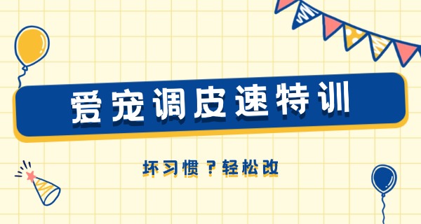 滨州宠物训练中心在哪-滨州宠物训练中心在哪