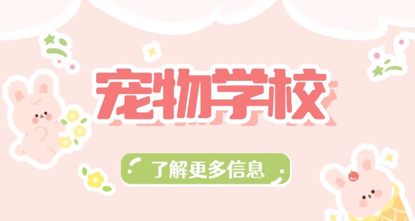 宁德宠物学校一般几点上课-宁德宠物学校上课时间